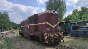 Lxd2-354 Rudy.jpg