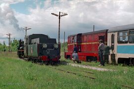 23.05.1998 - Lxd2-465 i Px48-3917 na stacji Mogielnica