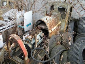 WLs40 1159 (1).JPG
